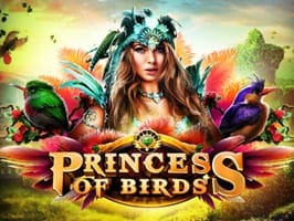 Princess of Birds game thumbnail